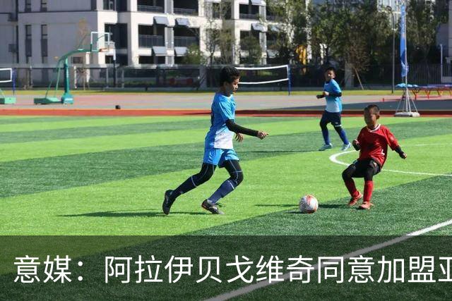 意媒：阿拉伊贝戈维奇同意加盟亚特兰大，勒沃库森要价3000万