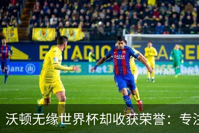 沃顿无缘世界杯却收获荣誉：专注水晶宫的未来与梦想