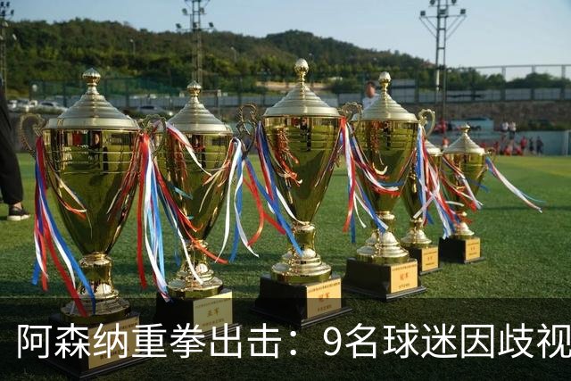 阿森纳重拳出击：9名球迷因歧视与辱骂遭禁赛处罚
