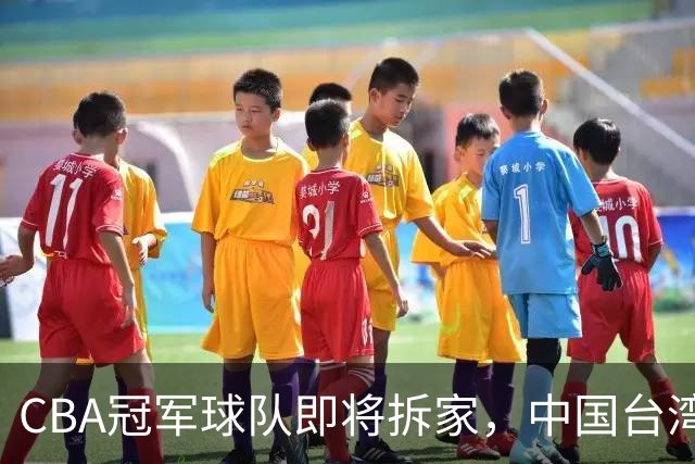 CBA冠军球队即将拆家，中国台湾联赛抢人，胡金秋下家二选一