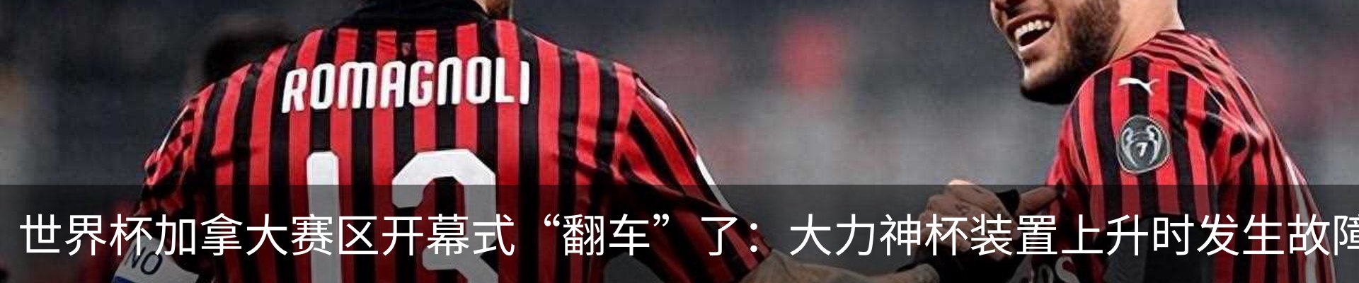 新闻动态