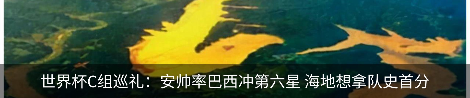 新闻动态