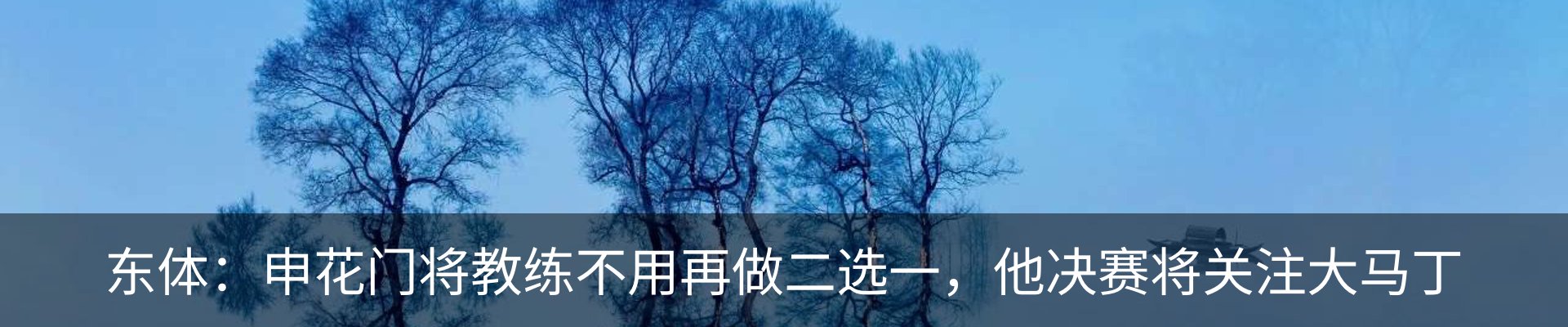 新闻动态
