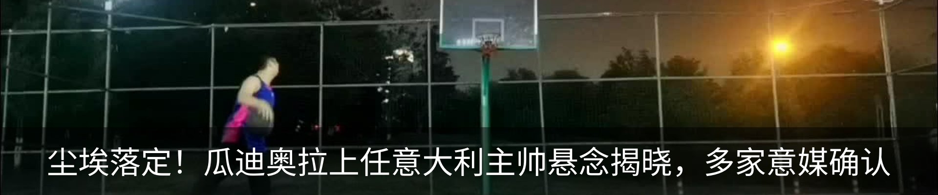 新闻动态
