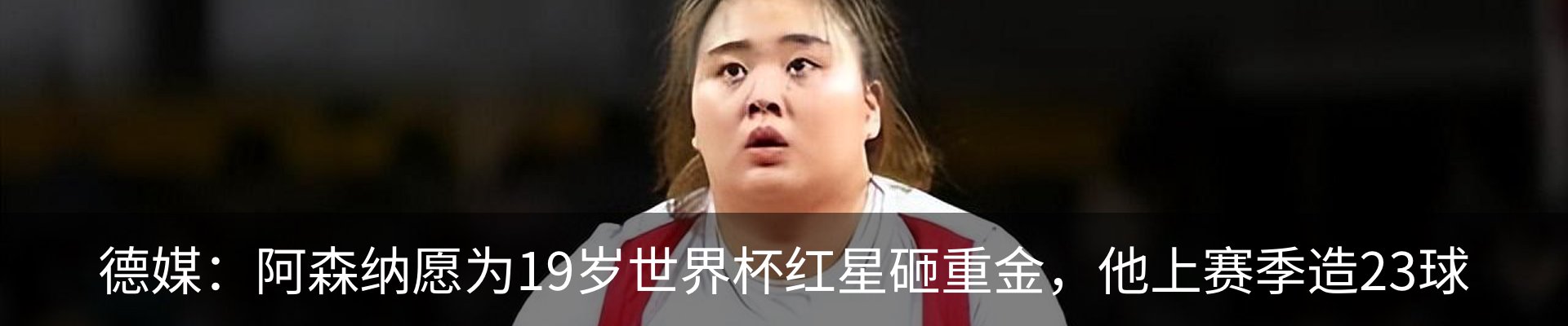 新闻动态