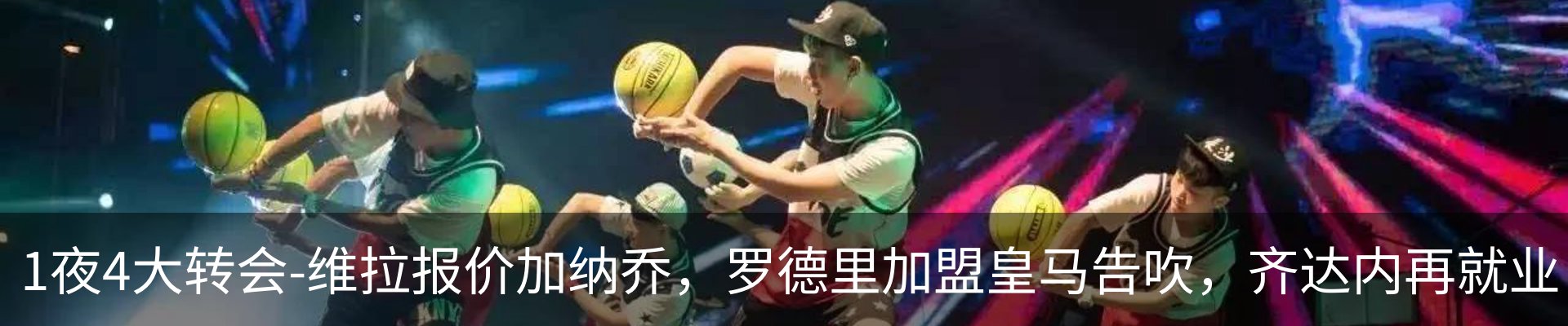 新闻动态